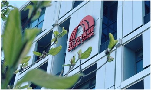 东方雨虹2023年财报解读 营收利润双增，技术创新驱动高质量发展