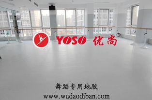 舞动艺术之魂——优尚国际建材发展集团公司打造专业歌舞院专用舞蹈地板高清图鉴